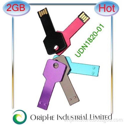 2GB key chain USB drive , USB flash,pendrive